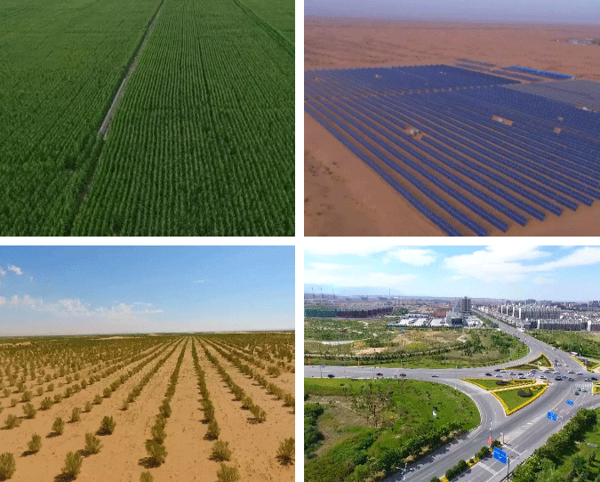 201906111623174365333.png 201906111623174365333.png